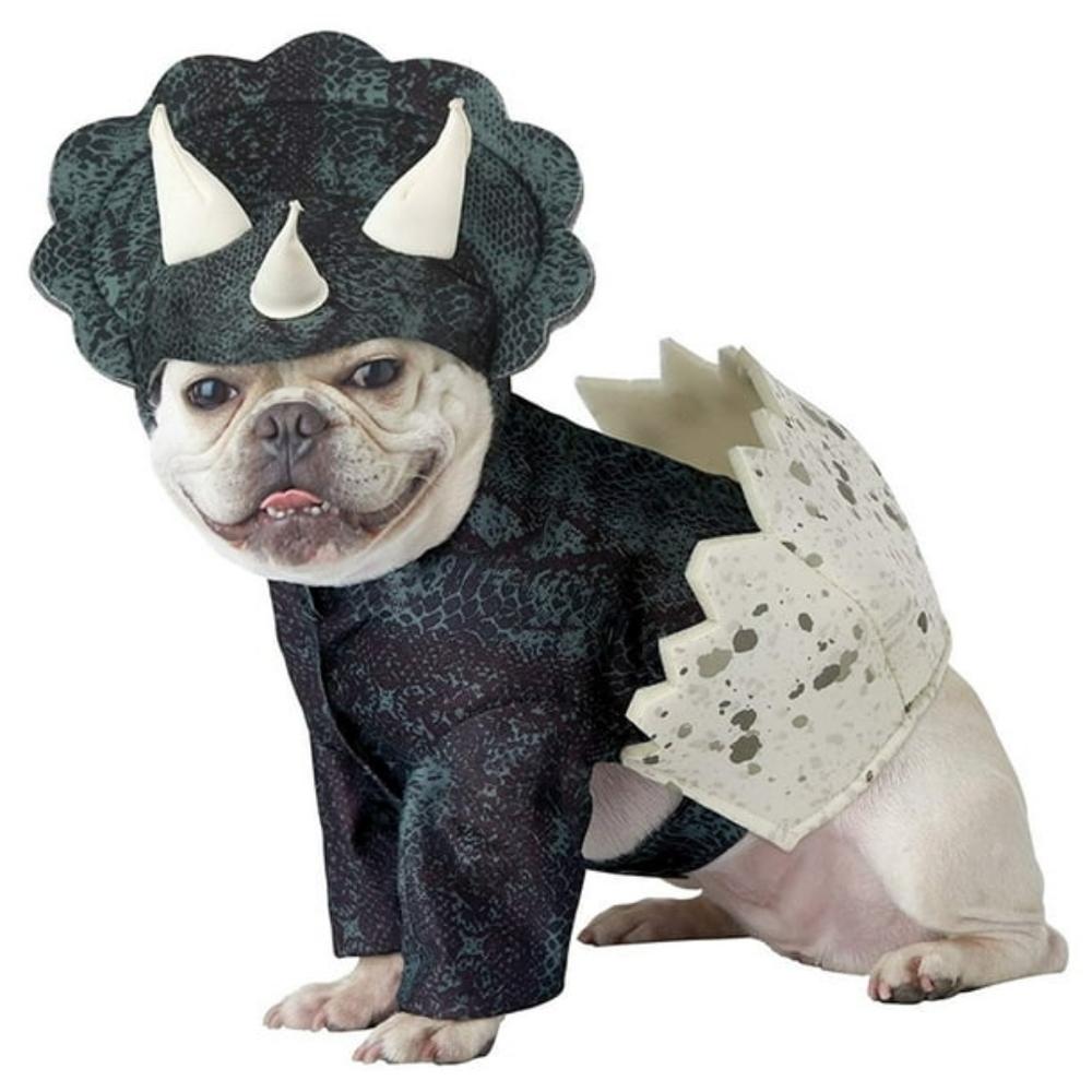 imPAWsters Dinosaur Dino Egg Pup Dog Costum X-Small Halloween